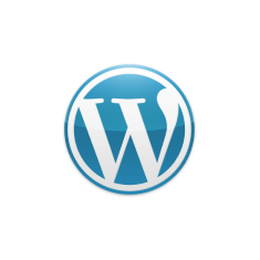 WordPress icon