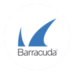 Barracuda